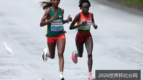 2026世界杯比分网